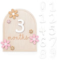 Load image into Gallery viewer, Daisy Milestone Wooden Card
