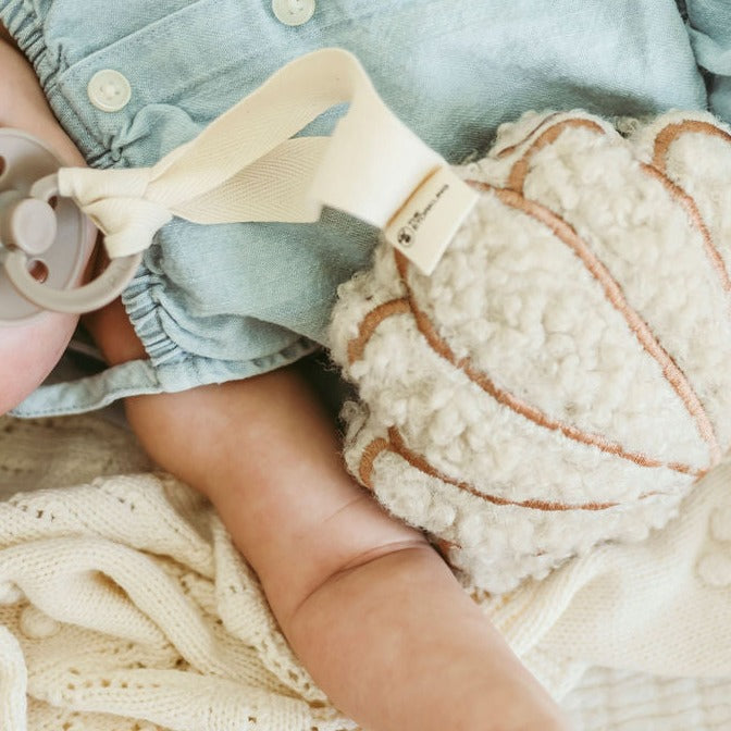 Teddy Seashell Music Box